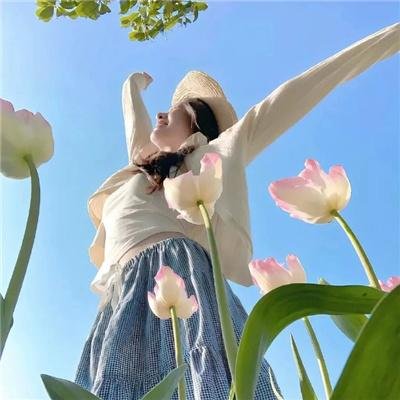 DOTA：龙之血第二季